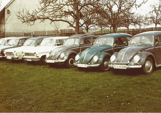 Historischer Mietfuhrpark mit VW Käfern auf einer Wiese